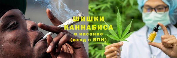 прущие грибы Алзамай