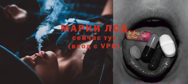 индика Алексеевка