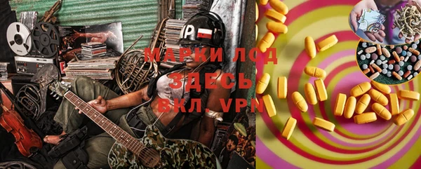 индика Алексеевка