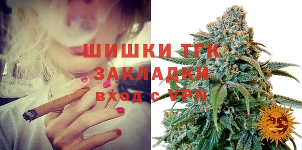 индика Алексеевка