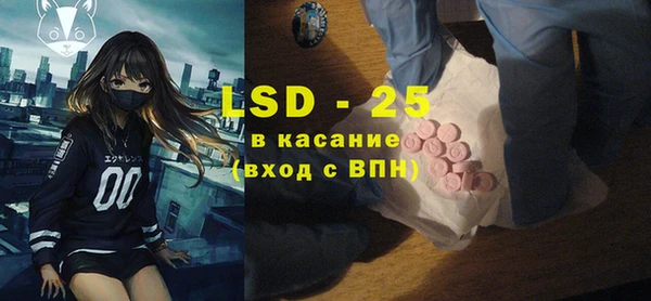 прущие грибы Алзамай