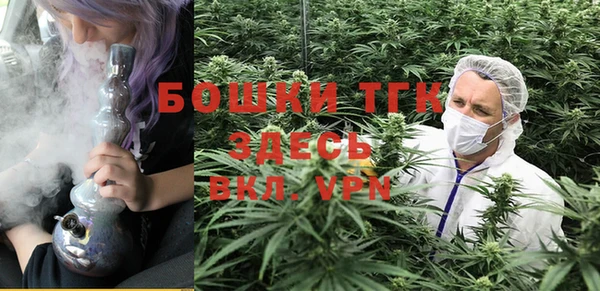 индика Алексеевка