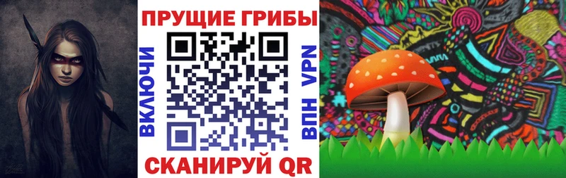 Псилоцибиновые грибы ЛСД кракен ссылки Усть-Лабинск что такое наркотик